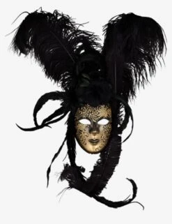 Anima Nocte