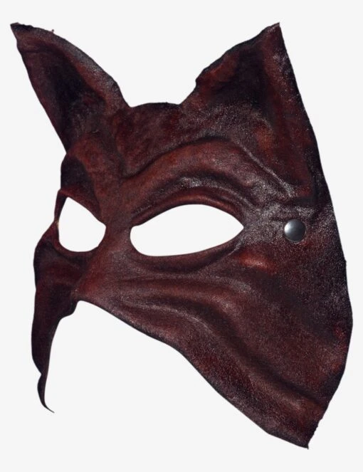 Brown Leather Male Cat