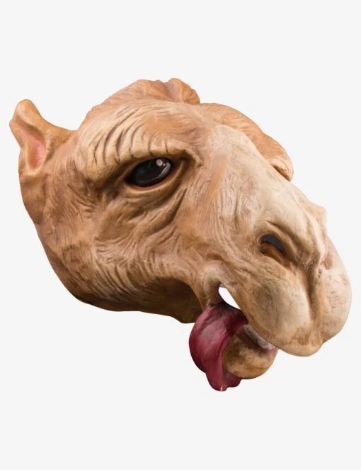 Camel