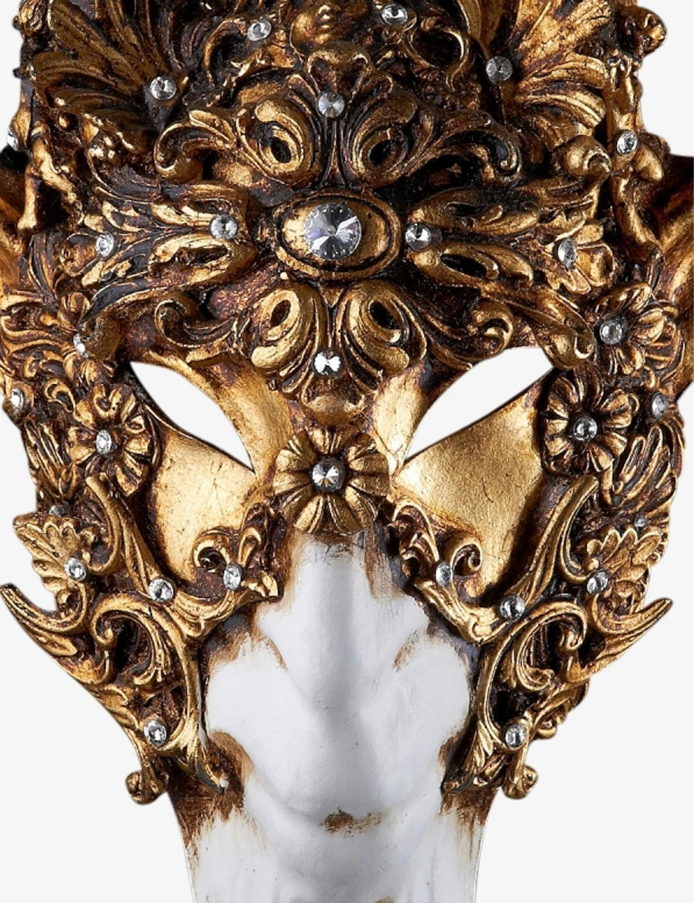 Capricornus - Image 2