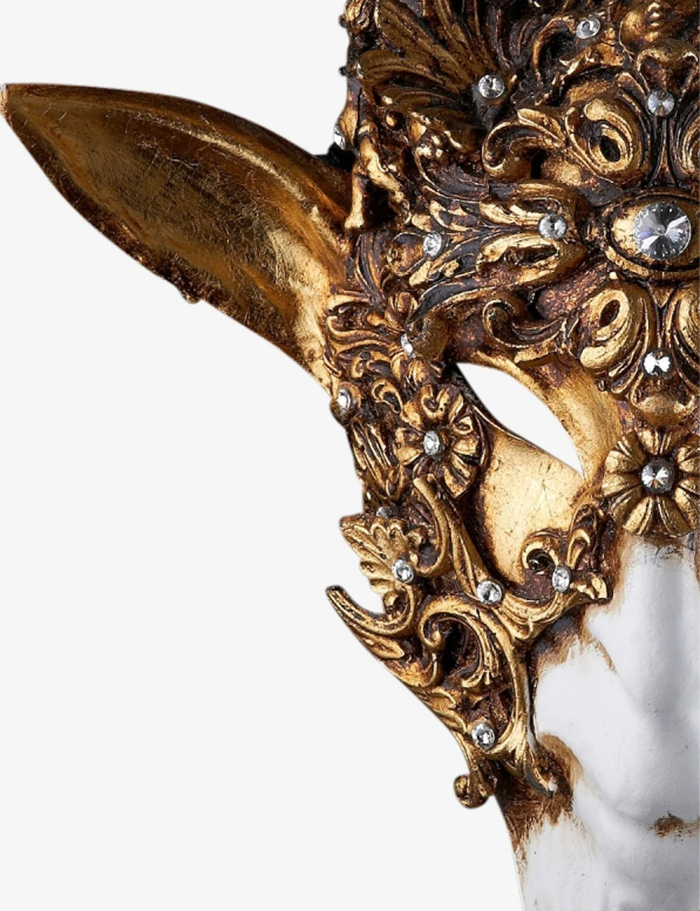 Capricornus - Image 3