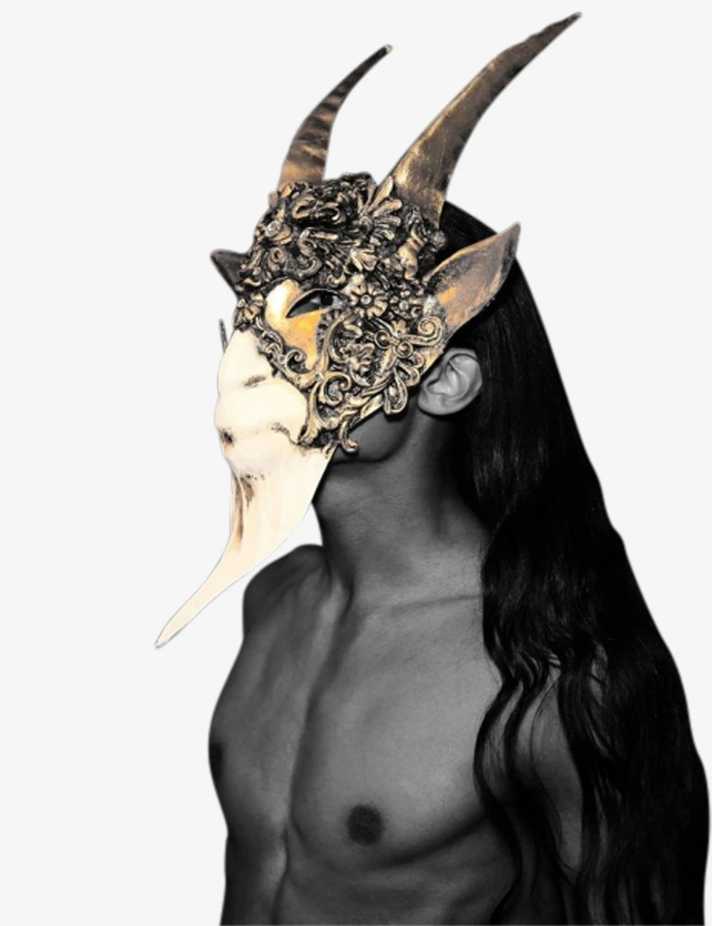 Capricornus - Image 6