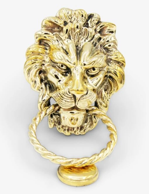Lion Door Knocker 004