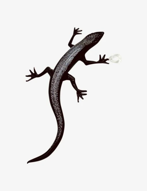 Alessandro Lizard 003
