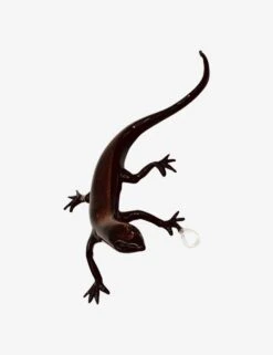 Alessandro Lizard 005