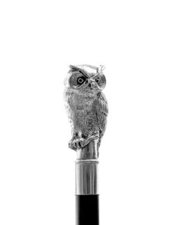 No Brand Walking Stick Little Owl