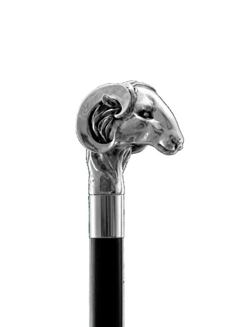 No Brand Walking Stick Ram
