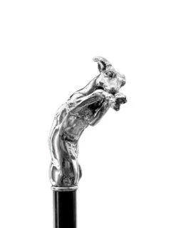 No Brand Walking Stick Zodiac - Capricorn