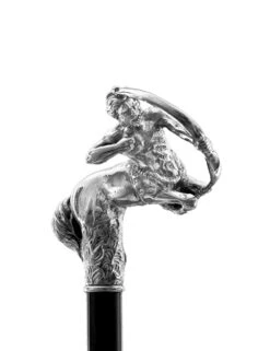 No Brand Walking Stick Zodiac - Sagittarius