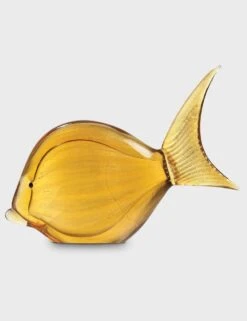 Yellow Gilt-head Bream Fish